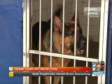 Fahami tugas unit anjing PDRM