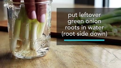 Here's How You Can Regrow Green Onions Perpetually in a Jar of Water