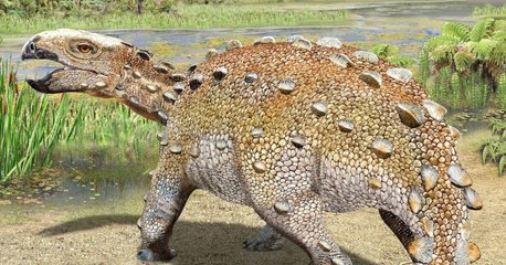 Stegouros, un impresionante nuevo dinosaurio acorazado