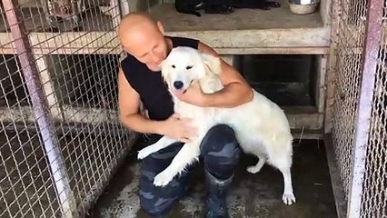 Lovely dog rescue , she then found a new home