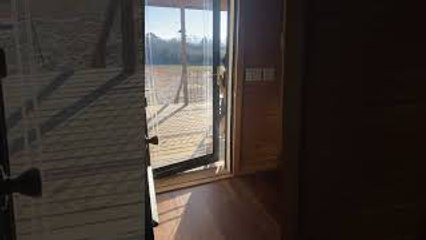 Smart Pup Lets Himself In