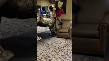 Woman Tries to Drunkenly Climb Gorilla Statue