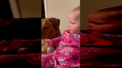 Baby Shares Lollipop with her Dog Friends