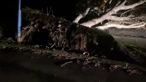 Fallen tree on Lancaster road