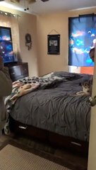 Parents Surprise Daughter With Husky Puppy