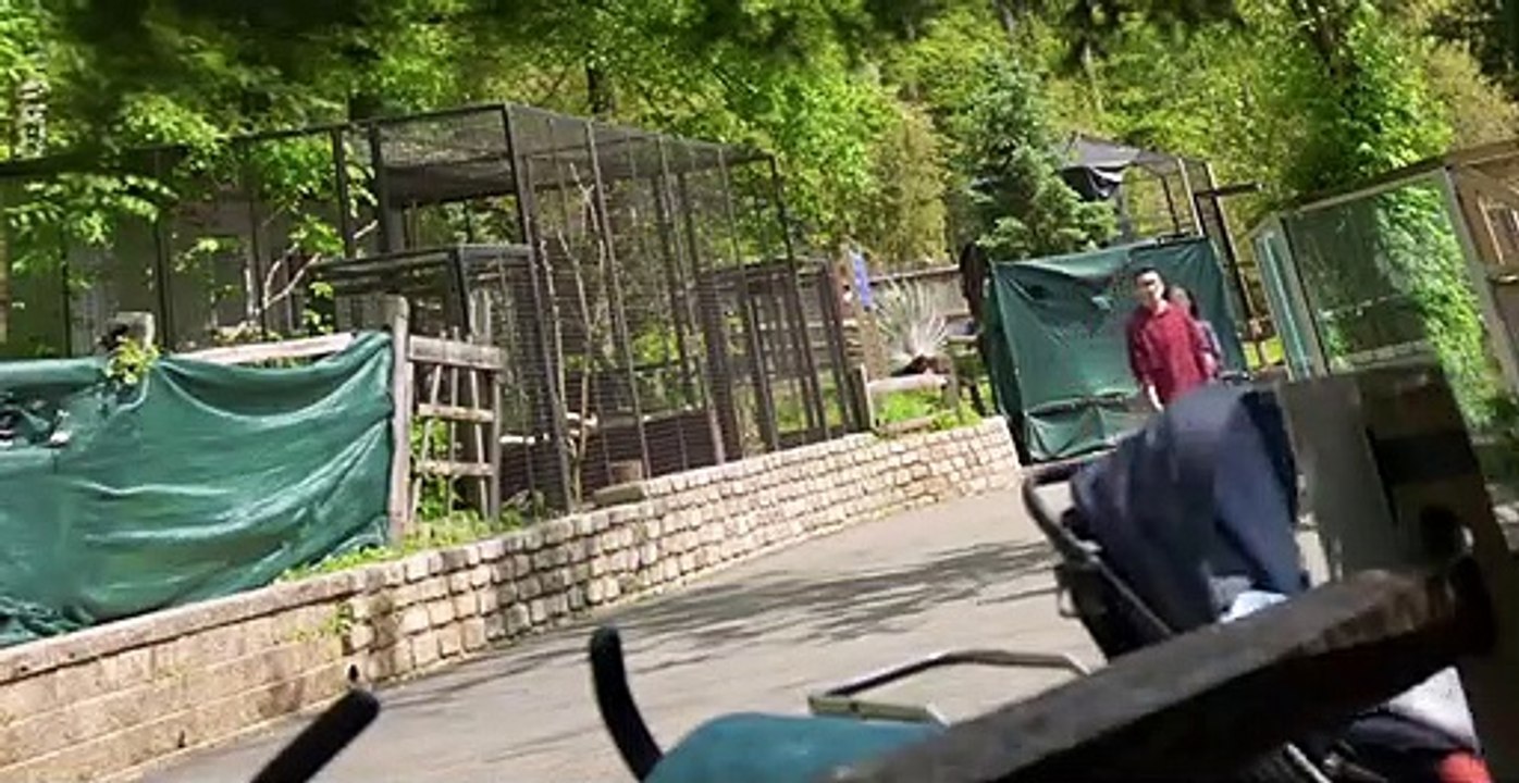 Pixar in Real Life S01 E02