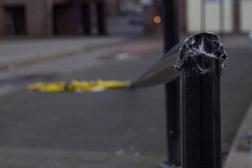 Hollanda'da Eunice Fırtınası hayatı olumsuz etkiliyor