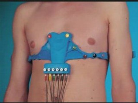 Bande d'electrodes Universelle Tapuz pour ECG