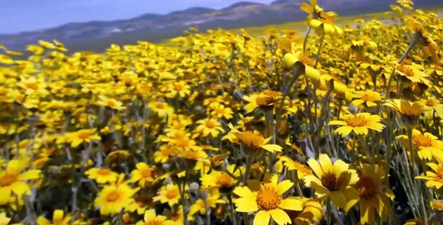Our Planet S01 E05