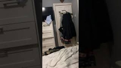 Kitten Jumps and Misses Landing