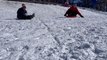 Sledding and dogs...and sledding dogs