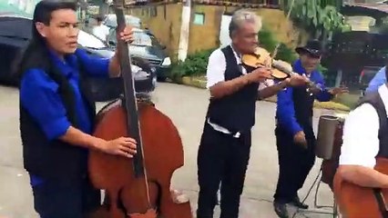 El Moño Colorado 2020- Versión Chanchona