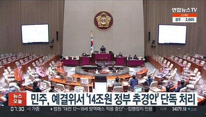 민주, 예결위서 '14조원 정부 추경안' 단독 처리