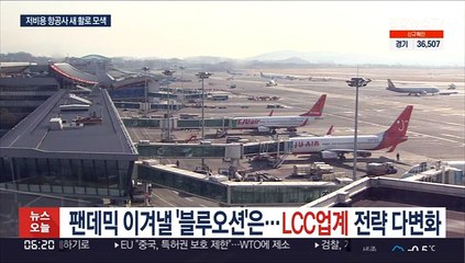 팬데믹 이겨낼 '블루오션'은…LCC업계 전략 다변화