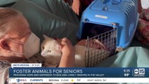 Seniors curing loneliness through furry friendships thanks to Valley nonprofit