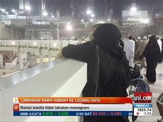 Larangan bawa jemaah ke ladang unta