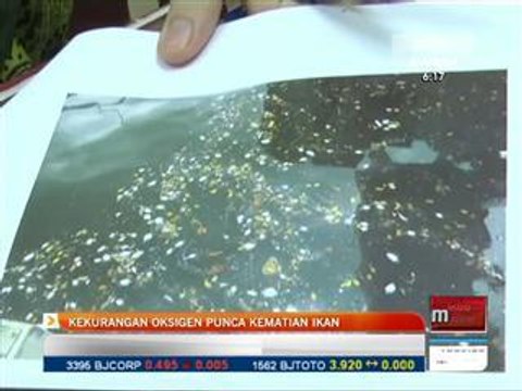 Kekurangan oksigen punca kematian ikan
