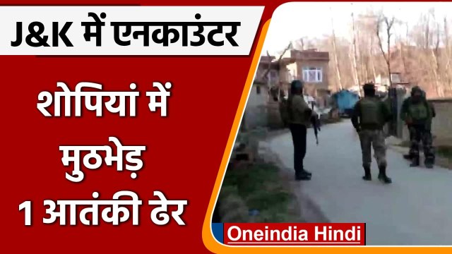 Shopian Encounter: सुरक्षाबलों ने Chermarg में 1 आतंकी को किया ढेर, सर्च ऑपरेशन जारी| वनइंडिया हिंदी
