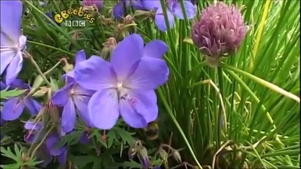 The Story Makers: Series 2: Buildings