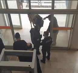 AT ARABASINA EL KONDU, ATIYLA KAYMAKAMLIK VE BELEDİYE BİNASINA GİRMEYE ÇALIŞTI