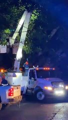 “Live“ Muere hombre electrocutado sobre un árbol en calles de la colonia Ladrón de Guevara