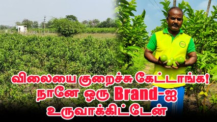 10 ஏக்கரில் கொய்யா சாகுபடி... விற்பனைக்கு வித்தியாச முயற்சி!  Pasumai vikatan
