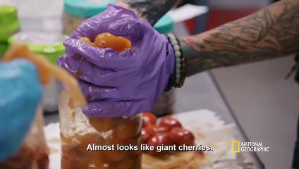 Cocaine Shipment at JFK Airport | To Catch a Smuggler