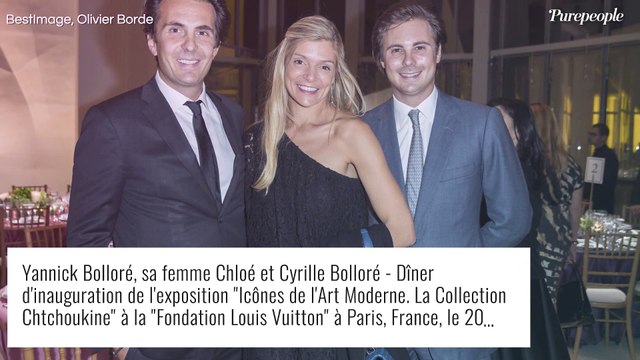 Vincent Bolloré : Quand le puissant patron a quitté sa femme pour... sa belle-soeur