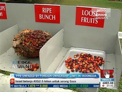 PPB unfazed by foreign ownership limit in Indonesia plantations