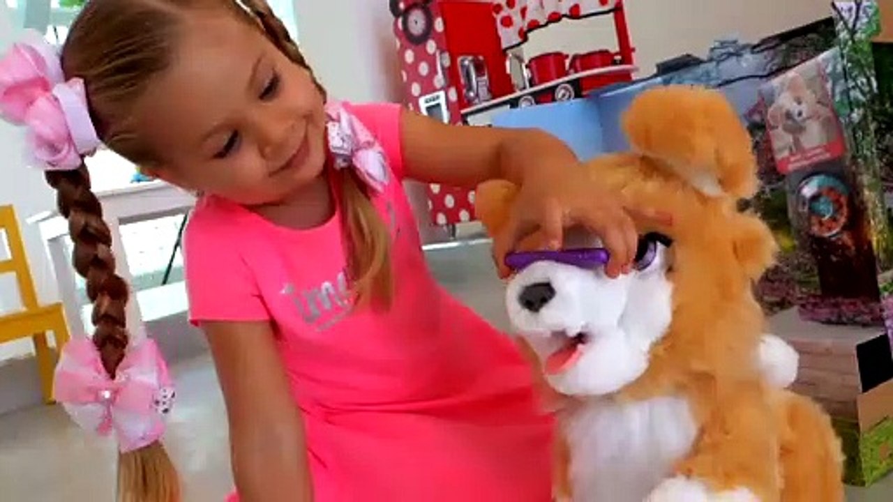 Diana and Funny toy dog