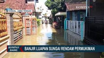 15 Desa di Permukiman Kabupaten Kendal Terendam Banjir Akibat Air Sungai Meluap
