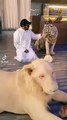 Thú vui chỉ người giàu Dubai mới hiểu: không chơi với hổ thì đùa nghịch với sư tử