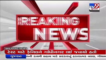 Surat Police nabs one with 14 kg weed from railway station area _ TV9News