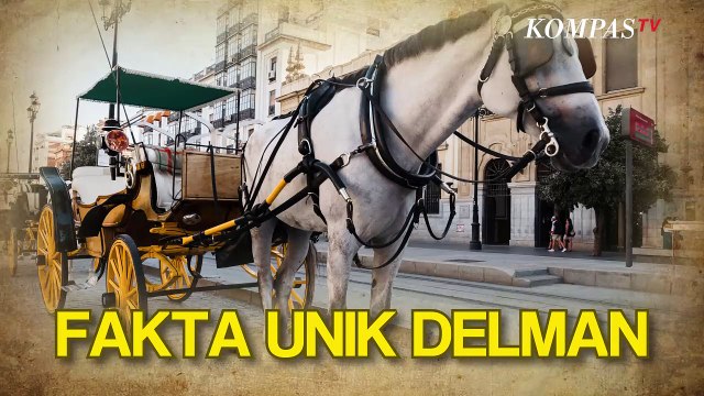 Pernah Jadi Transportasi Utama, Berikut Fakta Unik Mengenai Delman