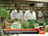 Henti segera penggunaan racun serangga