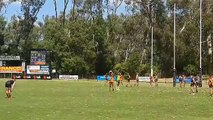 Murray Bushrangers v Calder Cannons - The Border Mail - February 2022