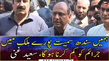 We have to reduce crime in the whole country including Sindh, Saeed Ghani