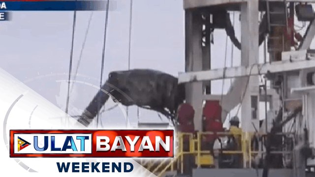 Pamamahagi ng fuel subsidy sa mga pampublikong transportasyon, ipagpapatuloy ng DOTr at LTFRB