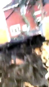 Tree blown down on Ward Avenue in Doncaster