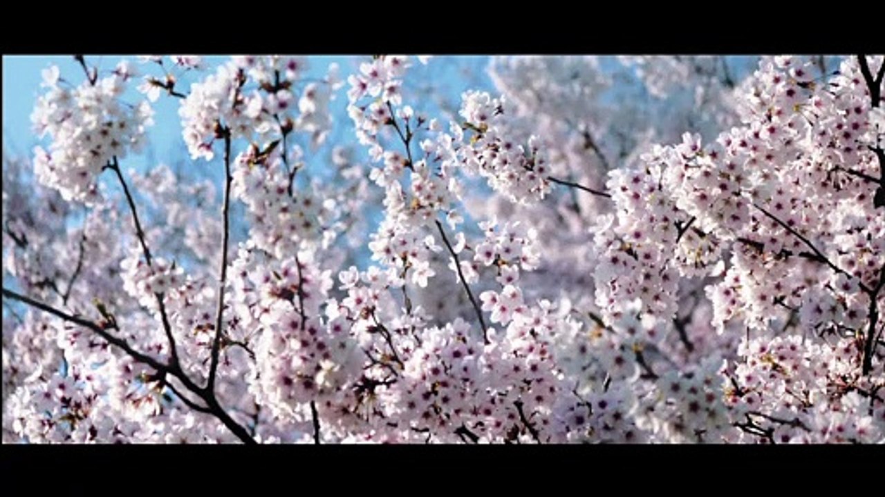 Musique de RELAXATION - Floraison [Libre de droits]