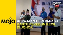 Kerajaan beri RM41.2j bantu pekebun kecil di Johor