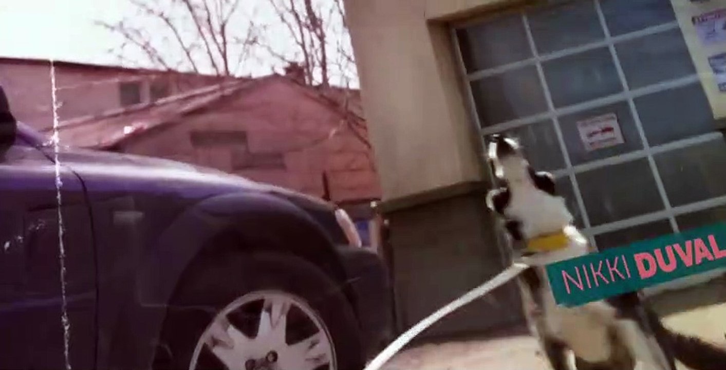 Strays S01 E03