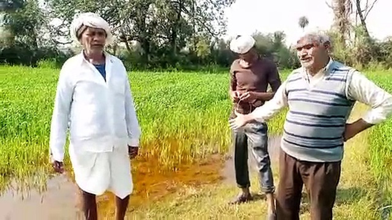 The canal that gave life to crops became a disaster