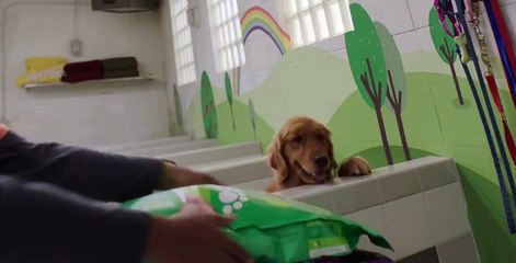 Strays S01 E06