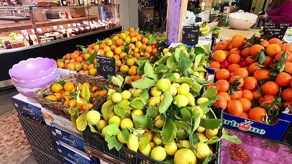 France : Menton (Fête du citron)