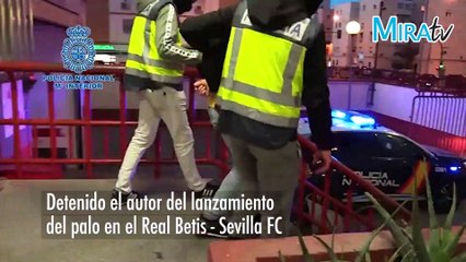 Detenido el autor del lanzamiento del palo en el Real Betis   Sevilla FC