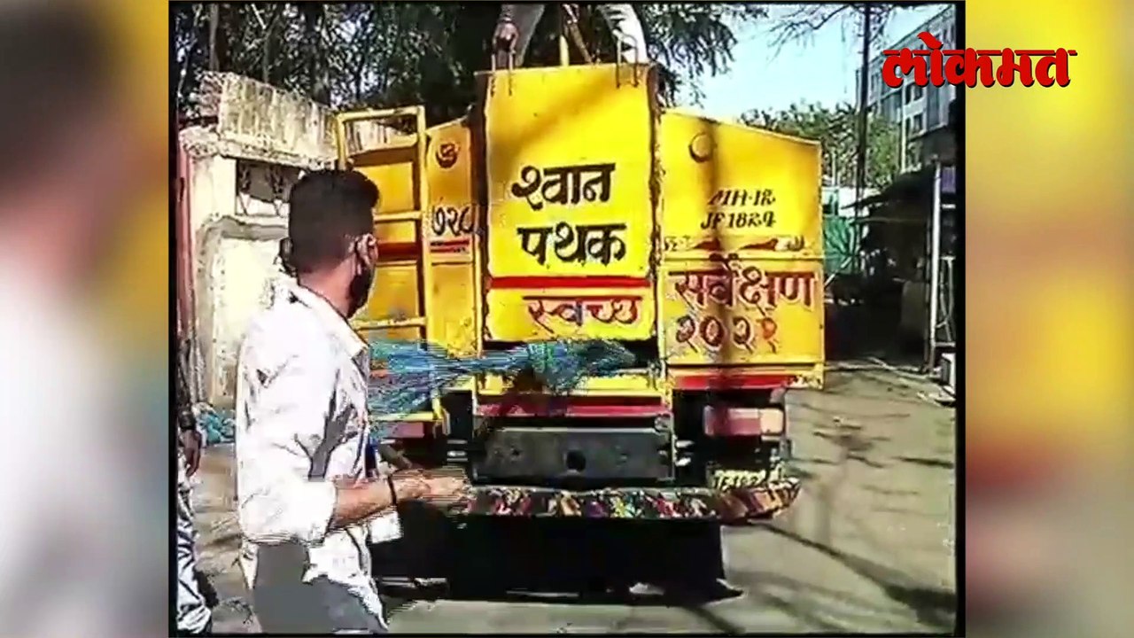 सत्ताधारी भाजपकडून 'कुत्र्यांवर' मोक्कार खर्च, पाहा काय केलं?