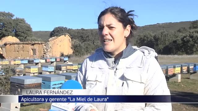 La apicultura, la crianza de abejas y la producción de miel están cada vez más en auge