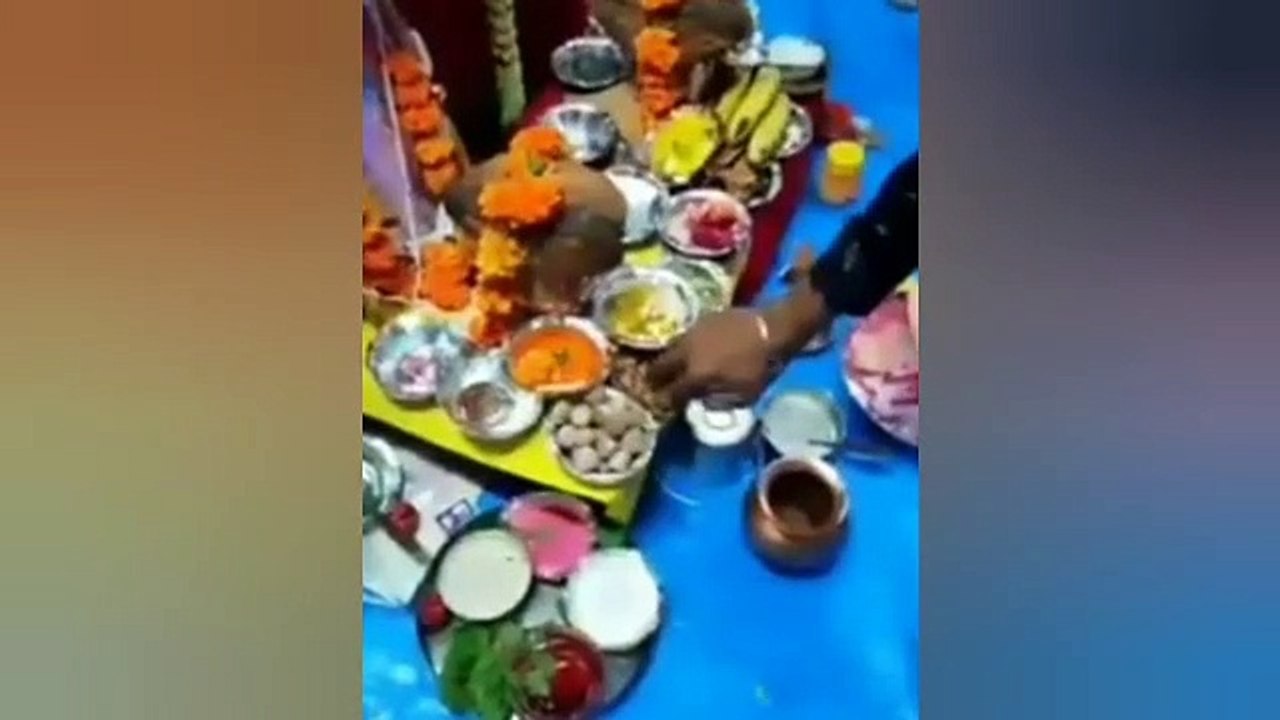 Funniest Compilation 2022 | Funny Failed Videos | Part 1