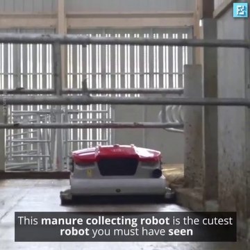 Robot Can Automatically Cleans Your Barn Floors Like a Roomba!!
